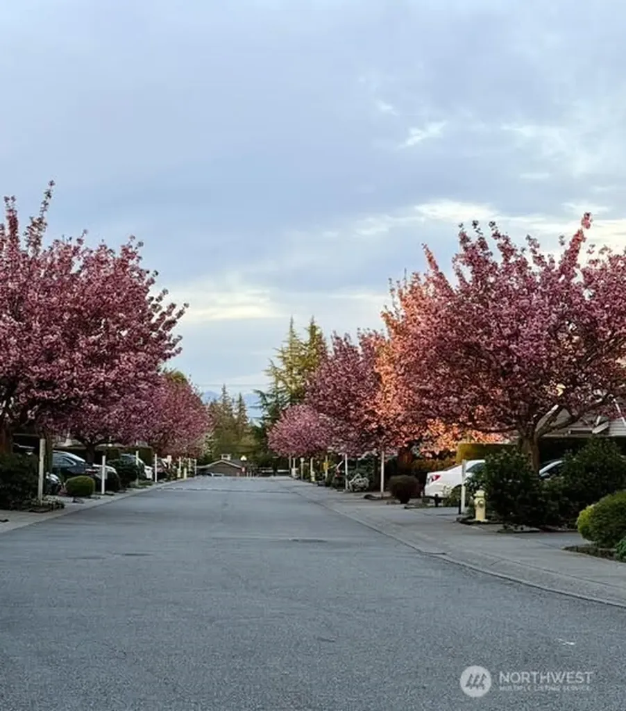 15414 35th Avenue W Lynnwood WA 98087