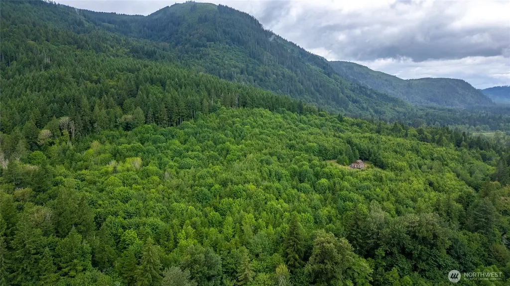 7603 Wheeler Road Maple Falls WA 98266