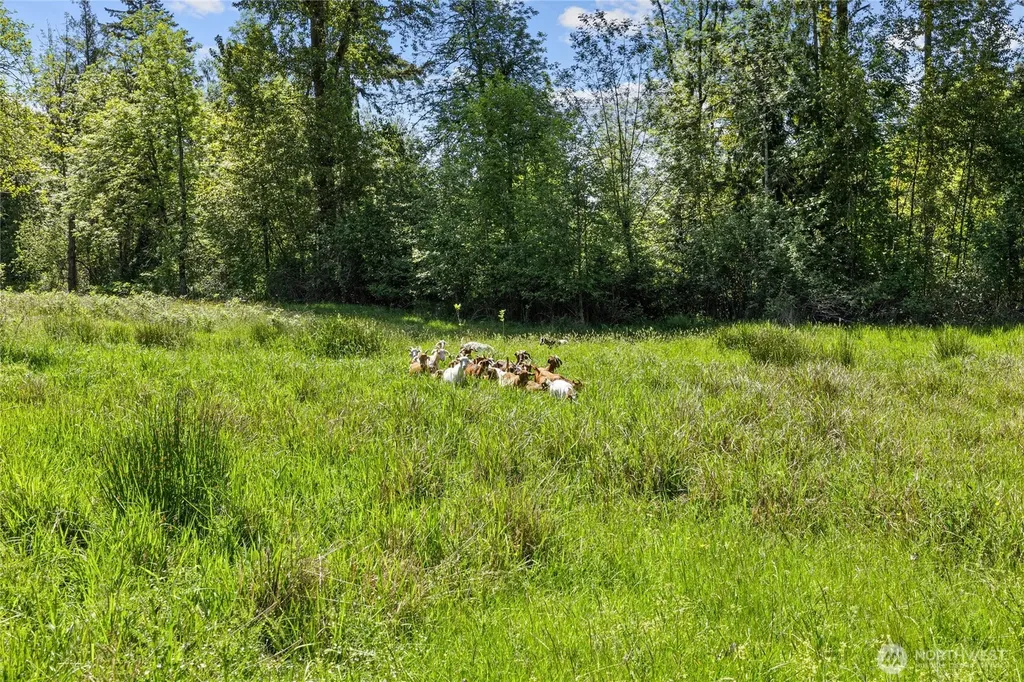34225 166th Way SE Auburn WA 98092