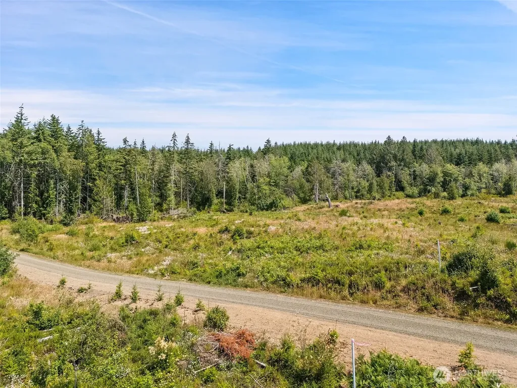 0 SE Wellswood Way Shelton WA 98584