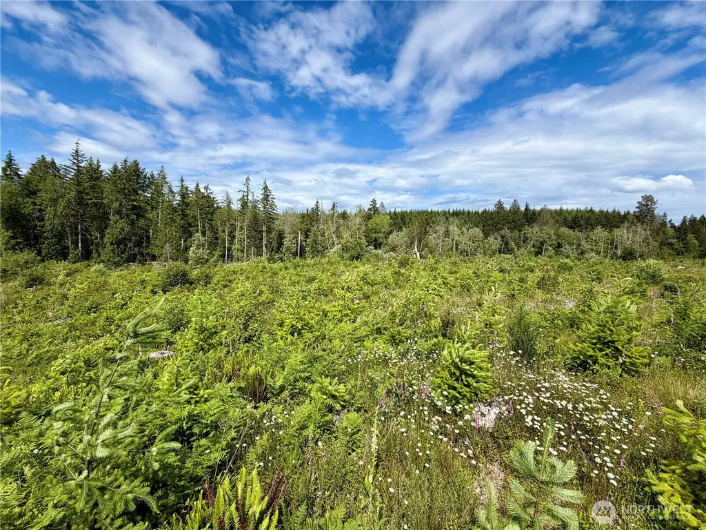 0 SE Wellswood Way Shelton WA 98584