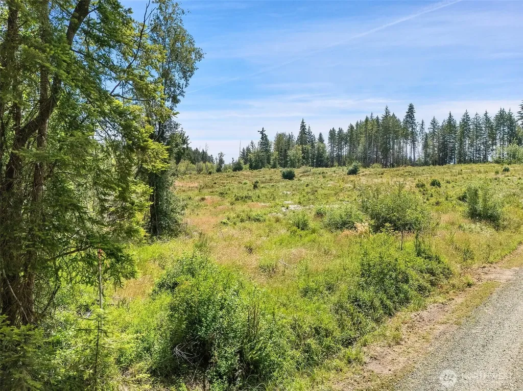 0 SE Wellswood Way Shelton WA 98584
