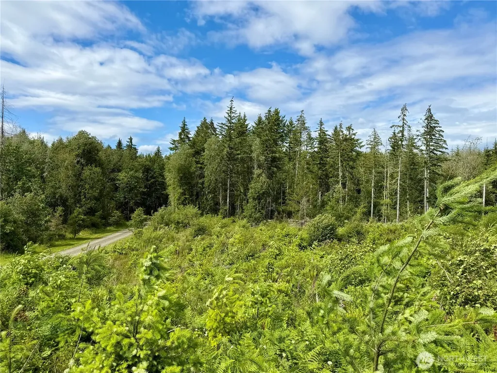 0 SE Wellswood Way Shelton WA 98584