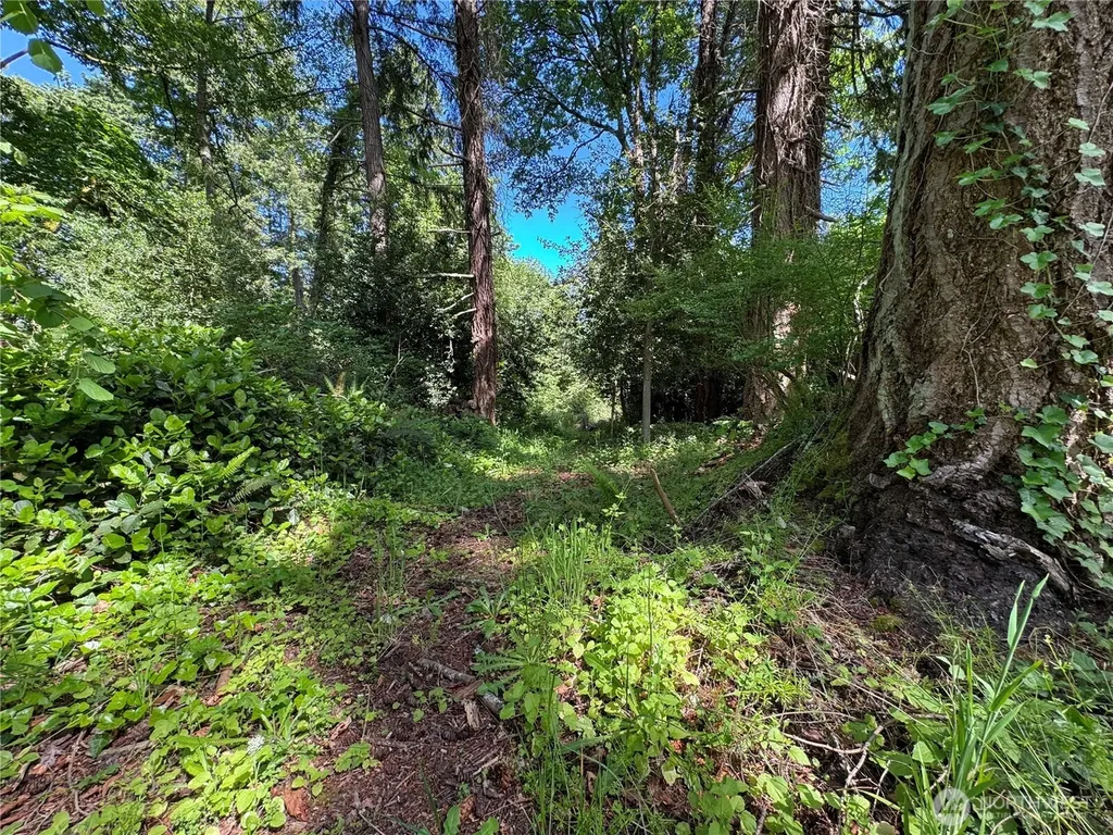 16330 93rd Avenue SW Vashon WA 98070