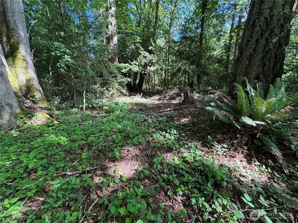 16330 93rd Avenue SW Vashon WA 98070