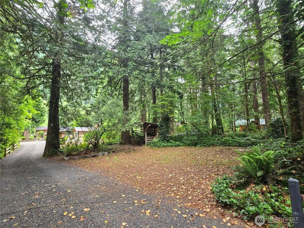 51531 Skyco Drive Index WA 98256