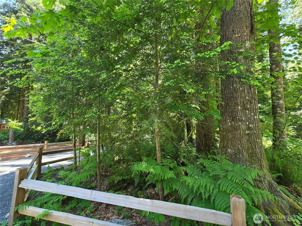 51531 Skyco Drive Index WA 98256
