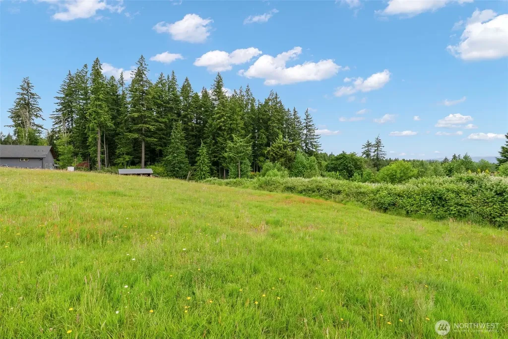 255 Twin Peak Drive Castle Rock WA 98611