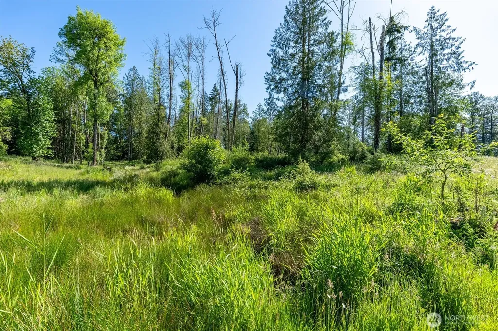 0 Chilvers Road Chehalis WA 98532