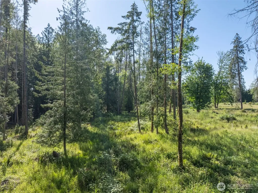 0 Chilvers Road Chehalis WA 98532