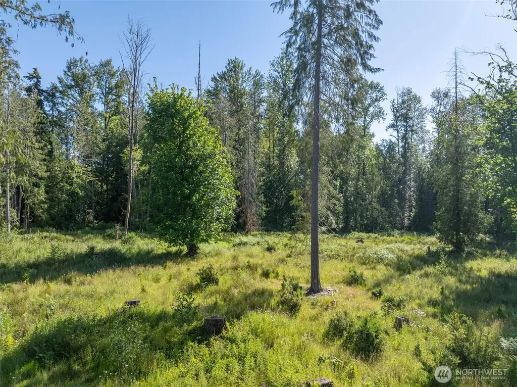 0 Chilvers Road Chehalis WA 98532