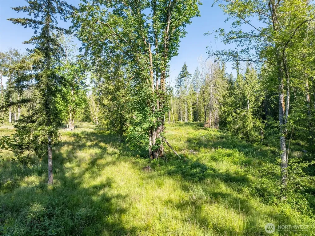 0 Chilvers Road Chehalis WA 98532