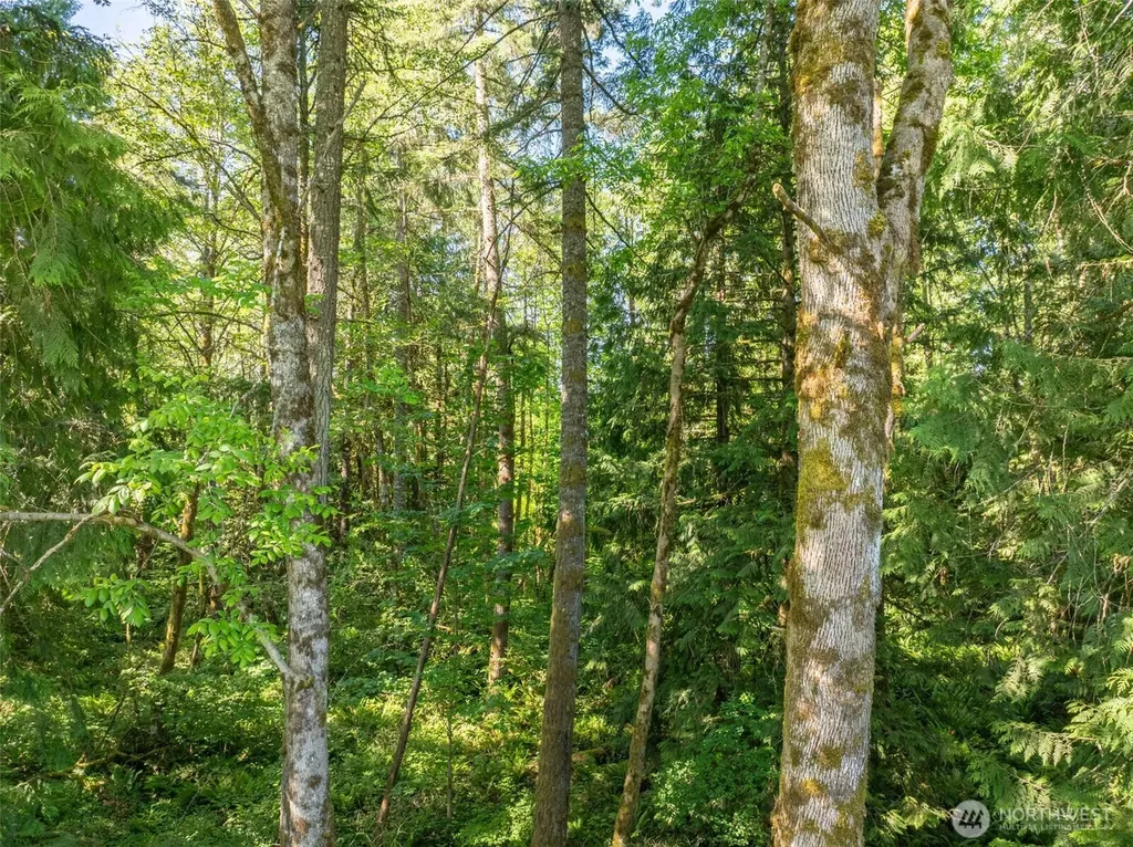 0 Chilvers Road Chehalis WA 98532