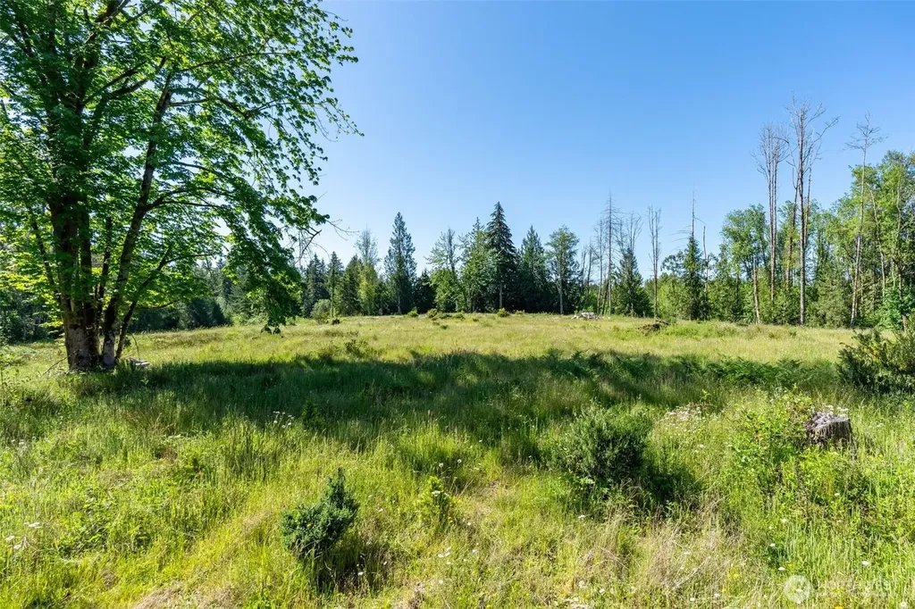 0 Chilvers Road Chehalis WA 98532