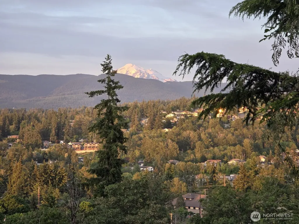 809 Liberty Street Bellingham WA 98225