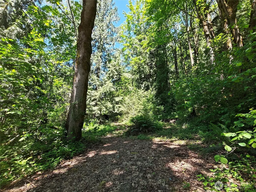 273 SE 164th Street Issaquah WA 98027