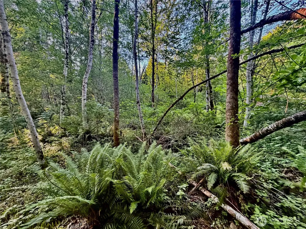 7546 Colleen Court Glacier WA 98244