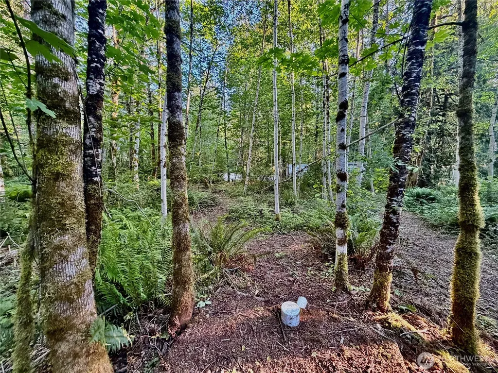 7546 Colleen Court Glacier WA 98244