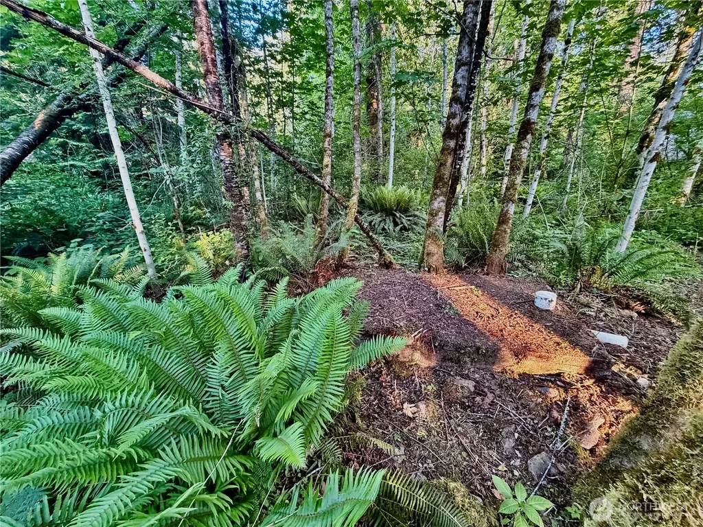 7546 Colleen Court Glacier WA 98244