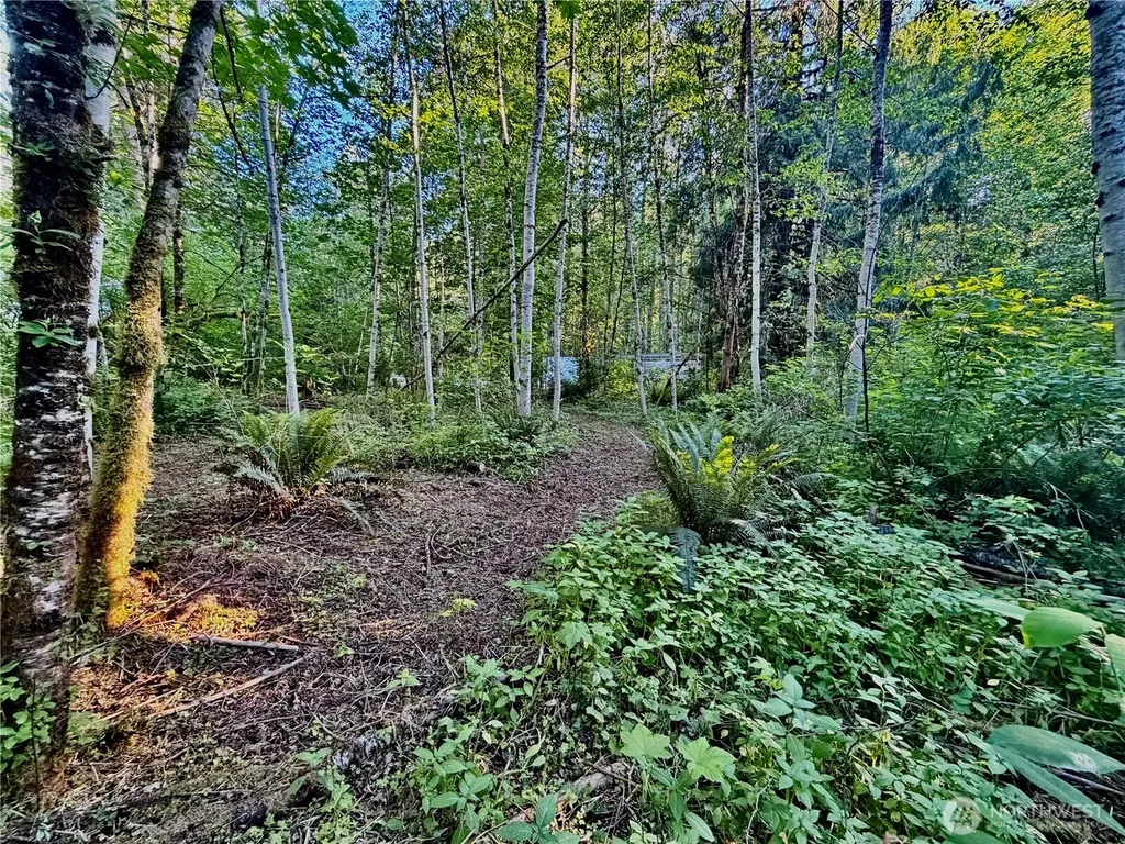 7546 Colleen Court Glacier WA 98244