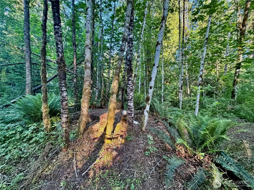 7546 Colleen Court Glacier WA 98244