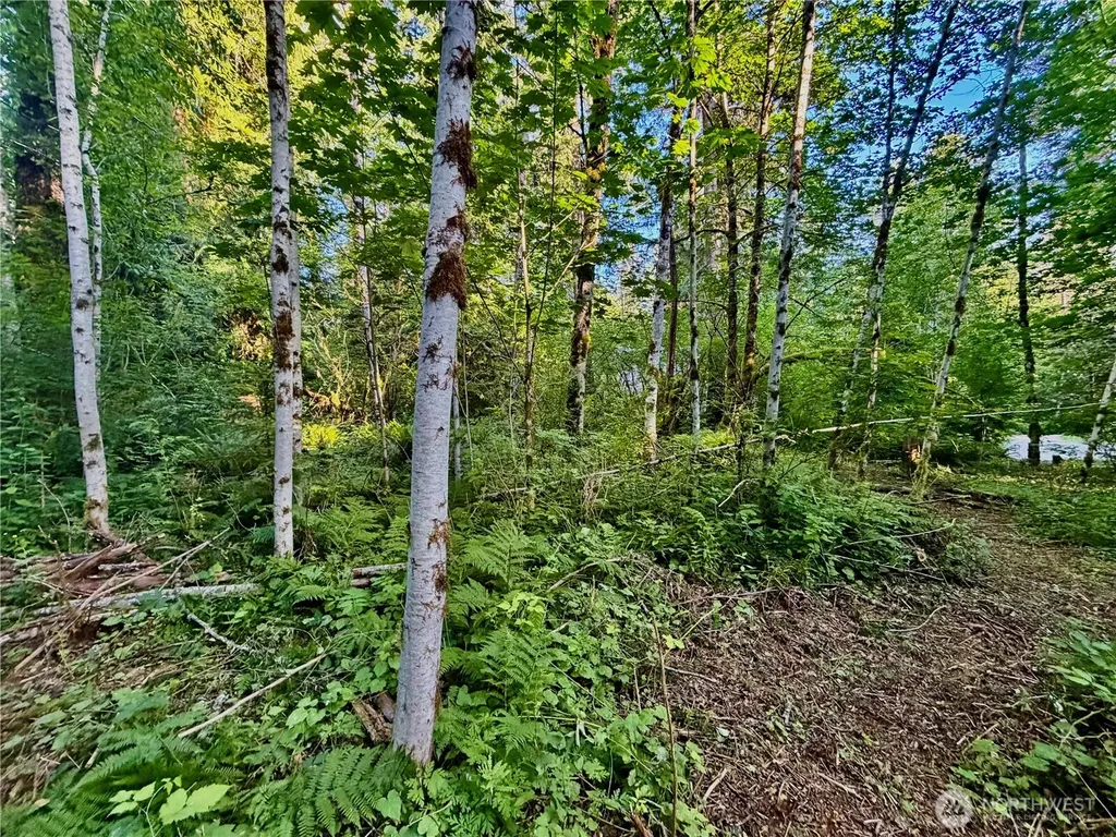 7546 Colleen Court Glacier WA 98244