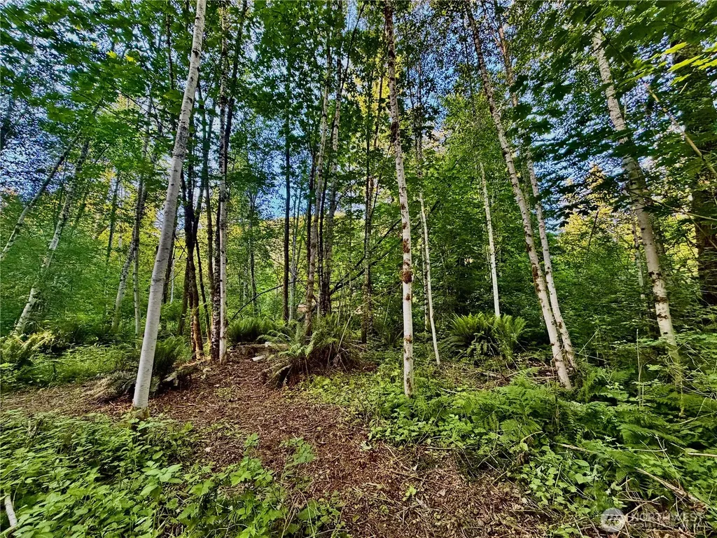 7546 Colleen Court Glacier WA 98244