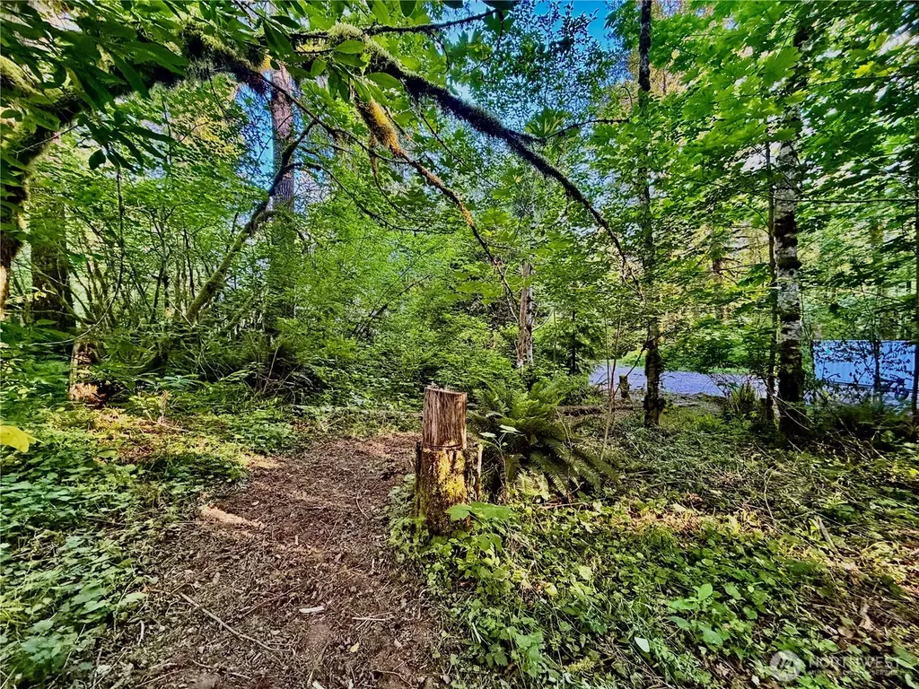 7546 Colleen Court Glacier WA 98244