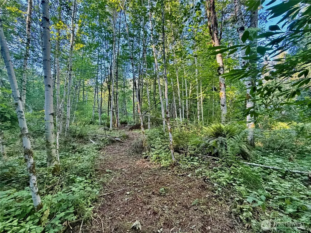 7546 Colleen Court Glacier WA 98244