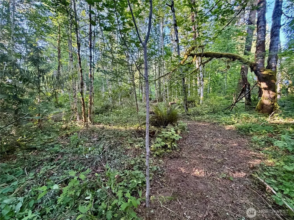 7546 Colleen Court Glacier WA 98244