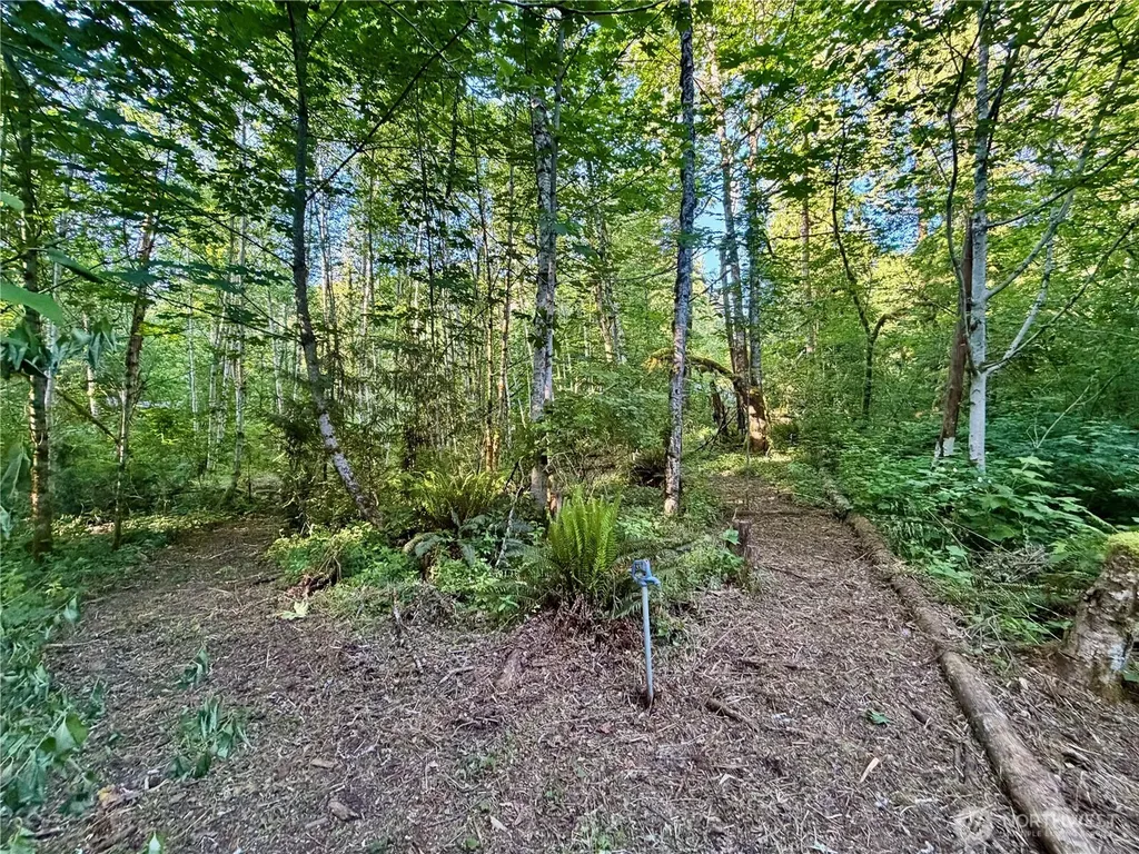 7546 Colleen Court Glacier WA 98244