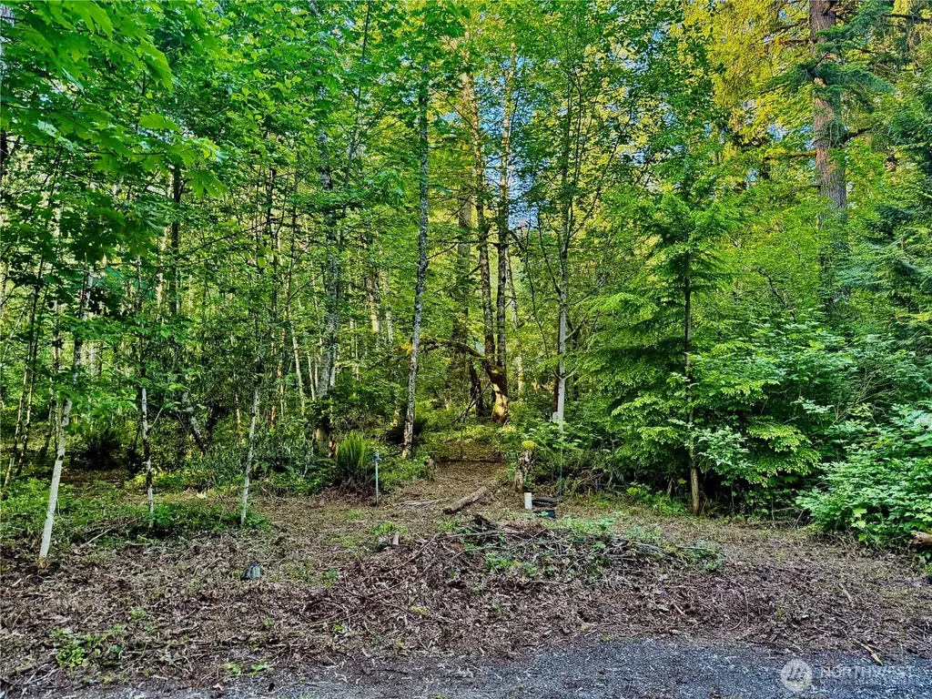 7546 Colleen Court Glacier WA 98244