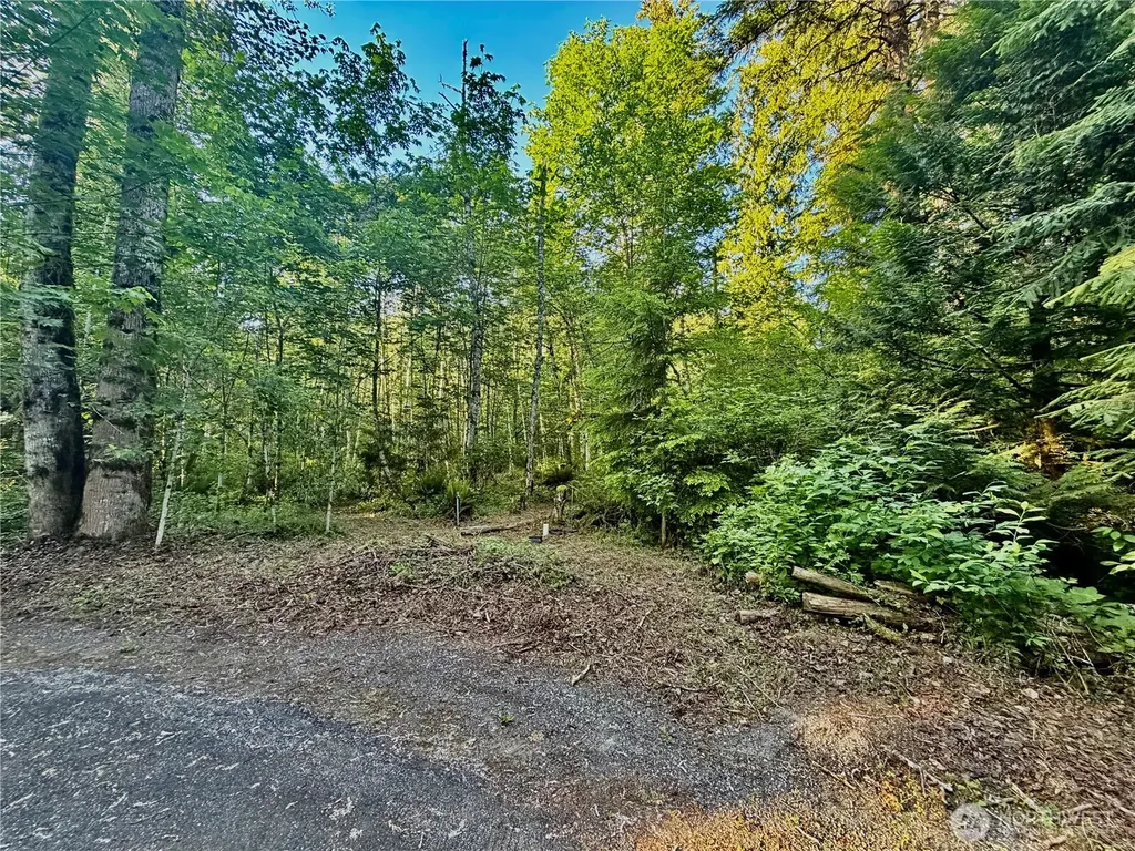 7546 Colleen Court Glacier WA 98244