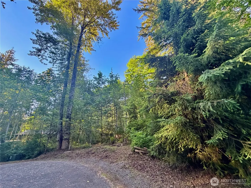 7546 Colleen Court Glacier WA 98244