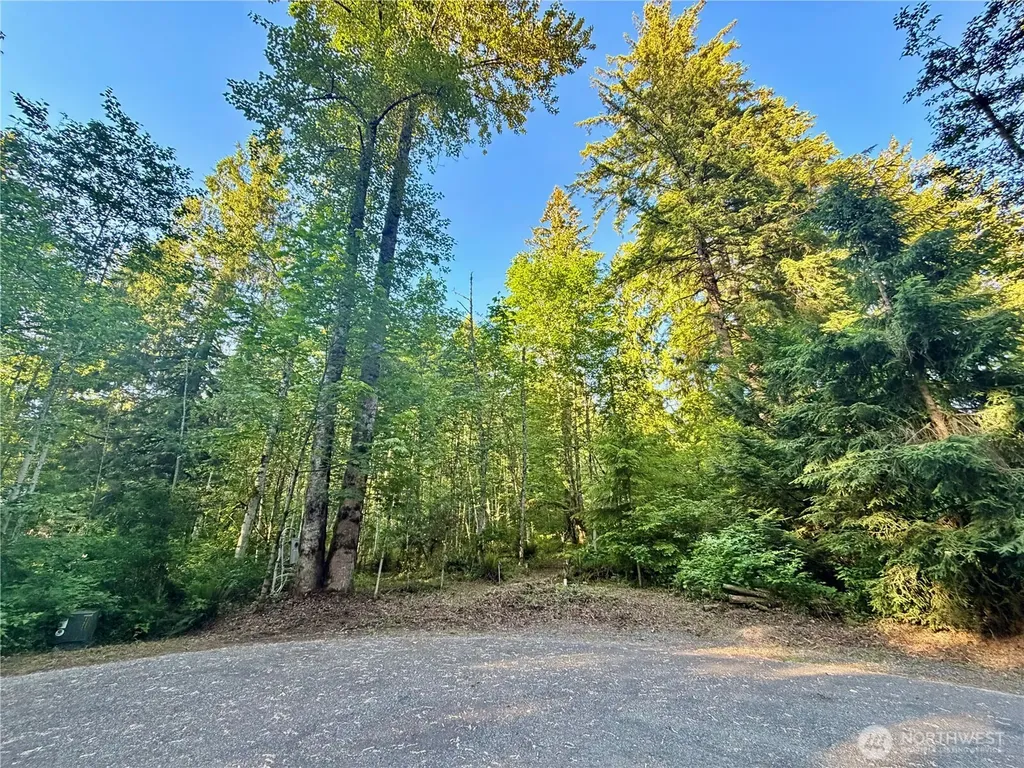7546 Colleen Court Glacier WA 98244