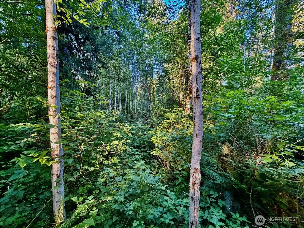 7546 Colleen Court Glacier WA 98244