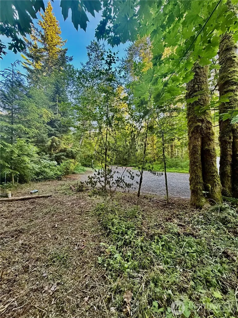 7546 Colleen Court Glacier WA 98244