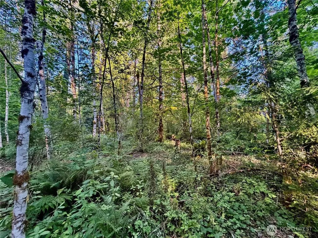 7546 Colleen Court Glacier WA 98244