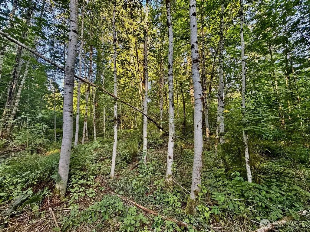 7546 Colleen Court Glacier WA 98244