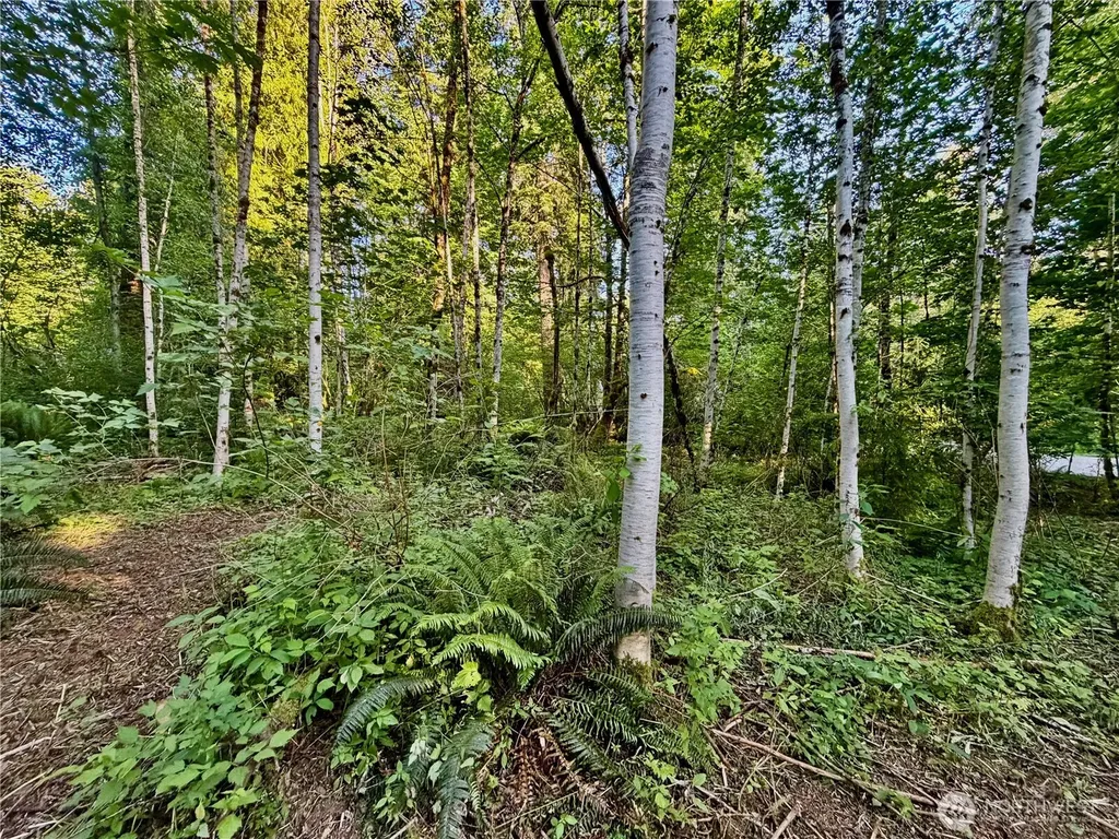 7546 Colleen Court Glacier WA 98244