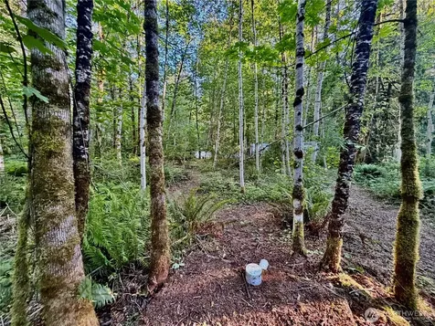 7546 Colleen Court Glacier WA 98244