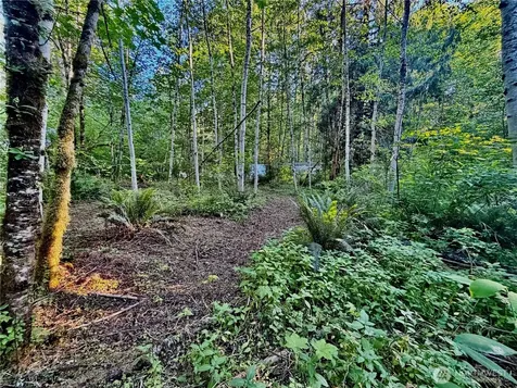 7546 Colleen Court Glacier WA 98244