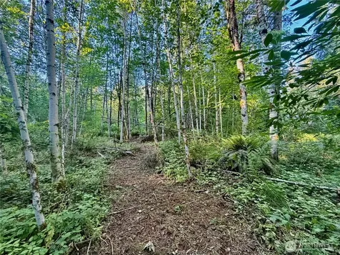 7546 Colleen Court Glacier WA 98244