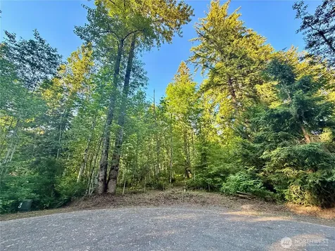 7546 Colleen Court Glacier WA 98244