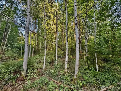 7546 Colleen Court Glacier WA 98244