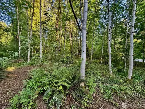 7546 Colleen Court Glacier WA 98244