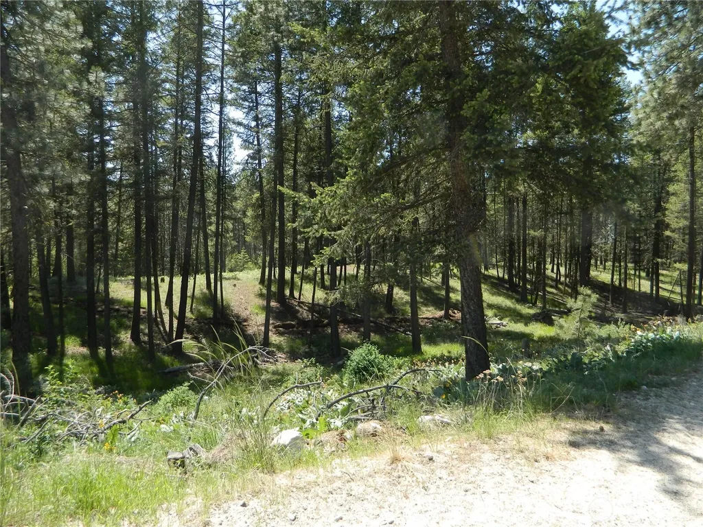 16 Summit Lake Road Tonasket WA 98855