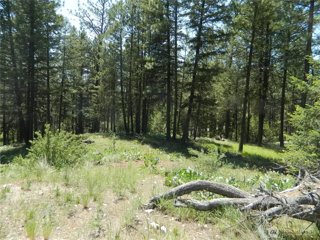 16 Summit Lake Road Tonasket WA 98855