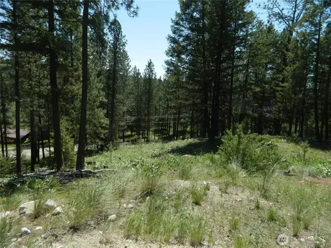 16 Summit Lake Road Tonasket WA 98855