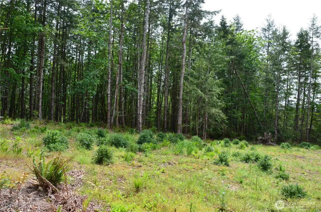 110 Country Ridge Road Chimacum WA 98325